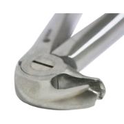 Tang Nr 24 Molar UK venstre
