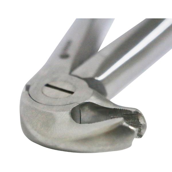 Tang Nr 24 Molar UK venstre