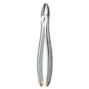 Tang 1D Carl Martin Front Okj