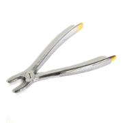 Tang 1D Carl Martin Front Okj