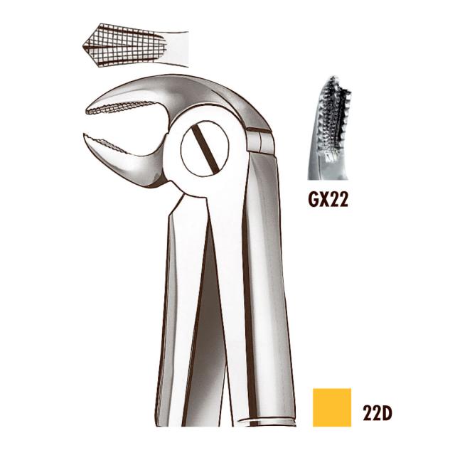 Tang 22D Carl Martin Molar UK