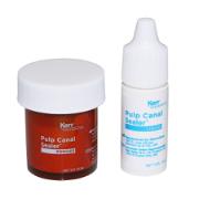 Pulp Canal Sealer 10,5g/4ml