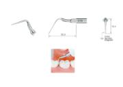 NSK Scalerspiss G16
