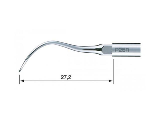 NSK Scalerspiss P25R Perio