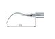 NSK Scalerspiss P25L Perio