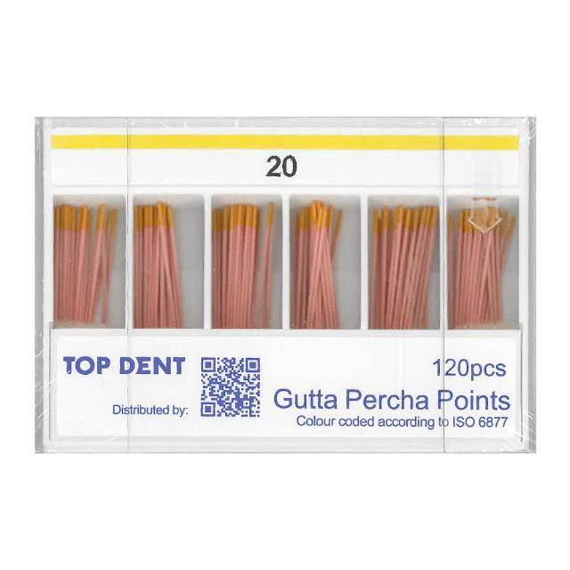 TD Gutta Percha ISO 20 120stk