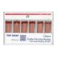 TD Gutta Percha ISO 25 120stk