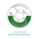 RM J00272 Energy Chain Redused 3,8mm Green 2,30m