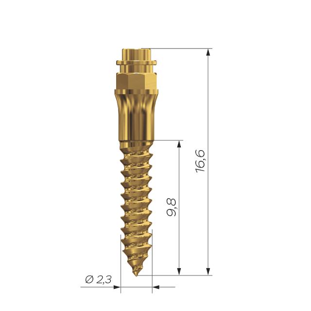 FO 1221A2310 OrthoEasy Pal Long Neck Gold 10mm ø2,3mm 5stk