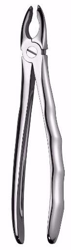 Tang LS116 Carl Martin Okj 