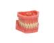 Frasaco Standard Tandmodell
