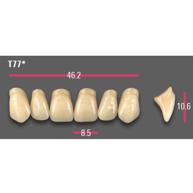 Vitapan Protesetenner OKJ Anterior D3 T77