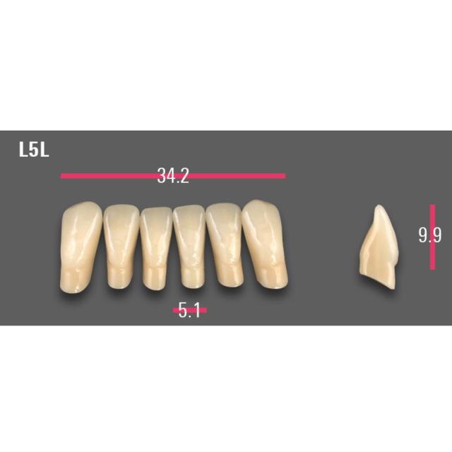 Vitapan Protesetenner UKJ Anterior A3,5 L5L