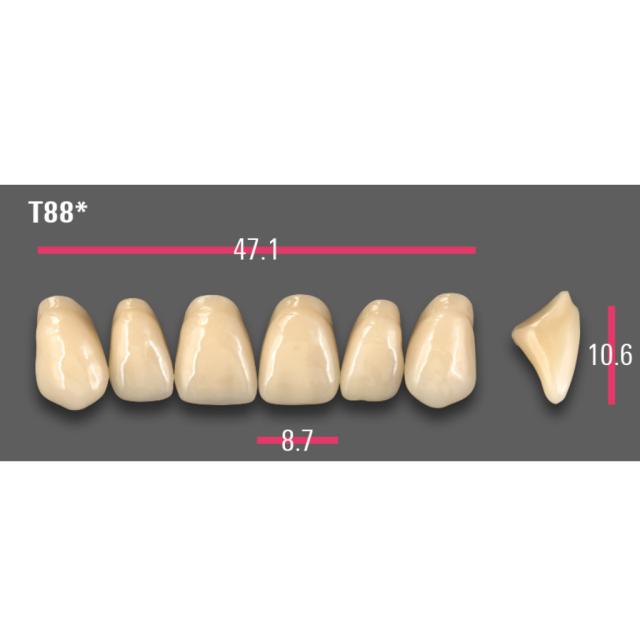 Vitapan Protesetenner OKJ Anterior D3 T88